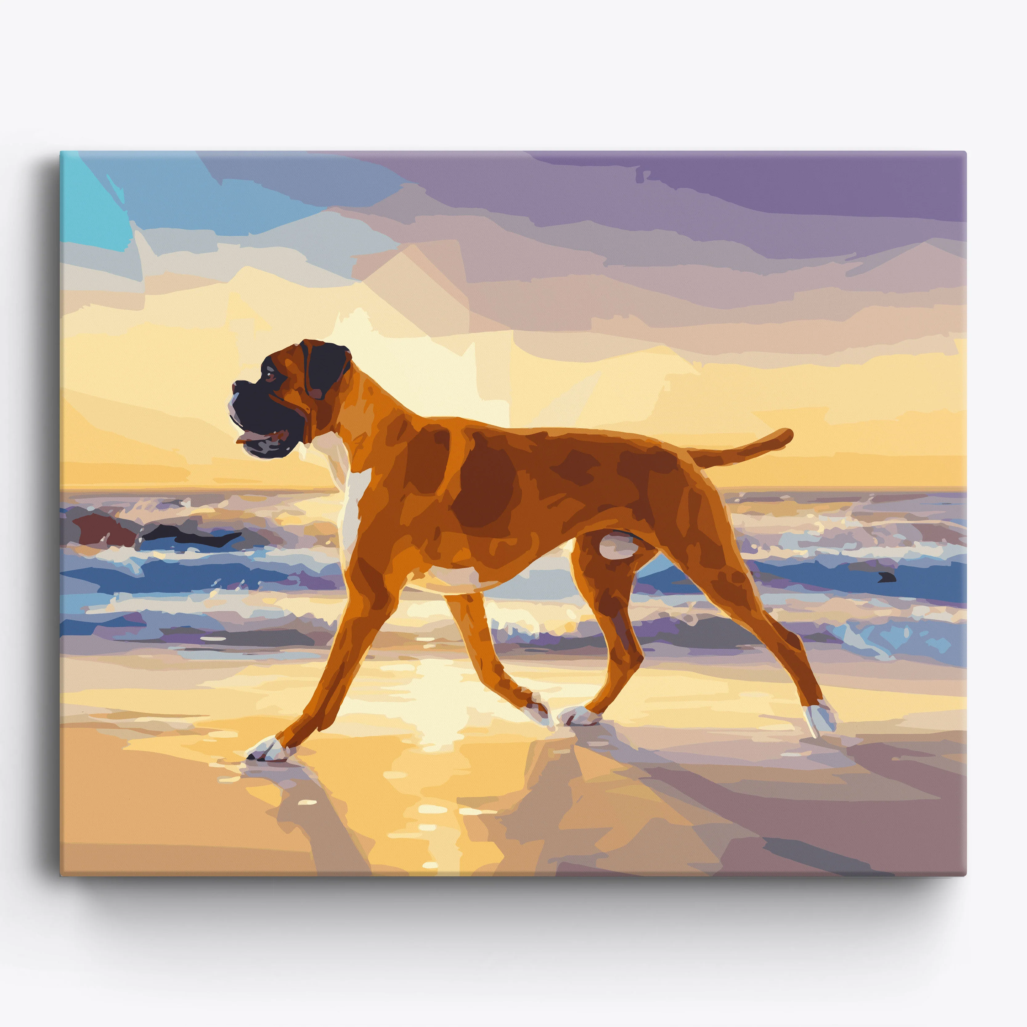 Boxer Beach