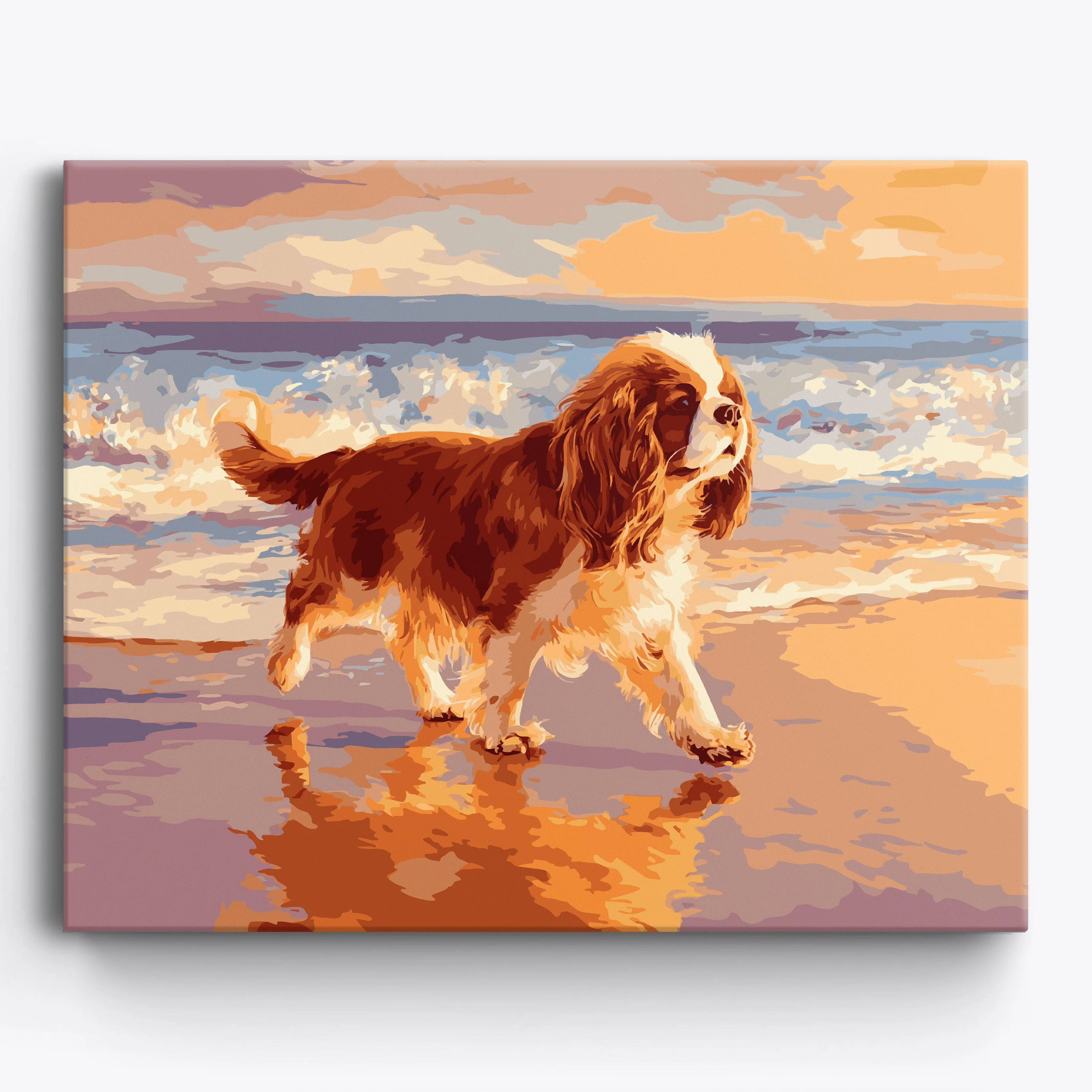 Cavalier King Coastline - Image 2