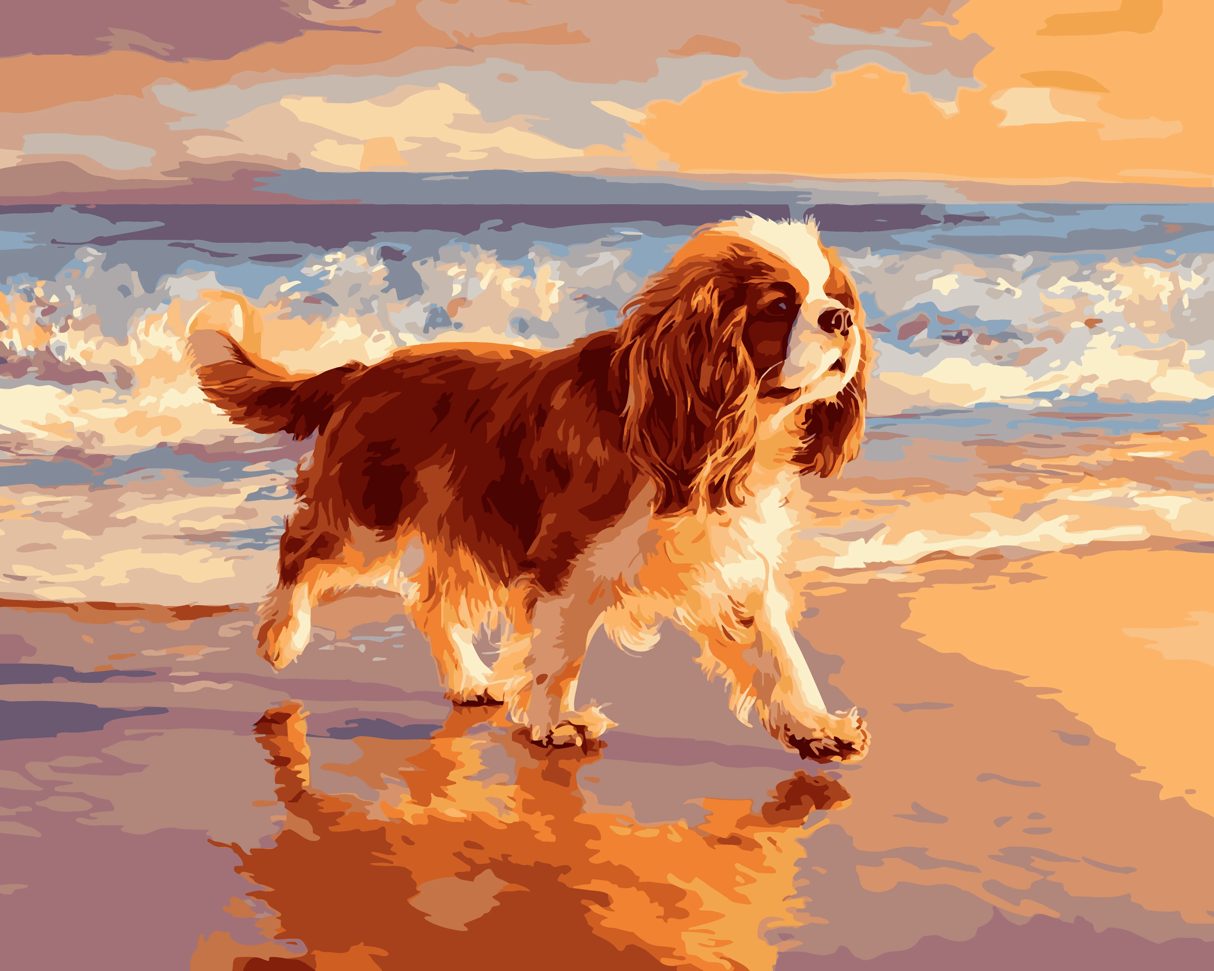 Cavalier King Coastline - Image 3