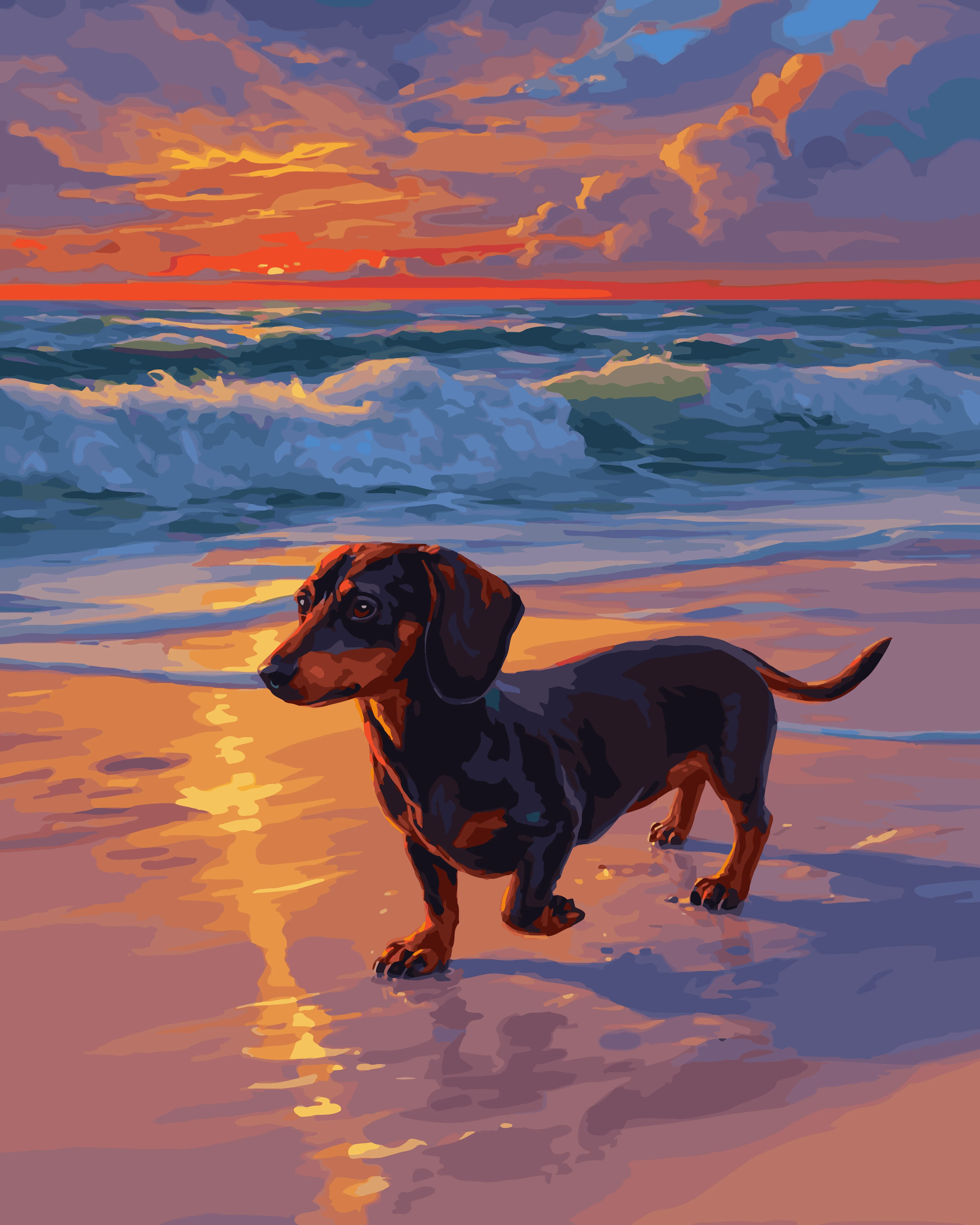 Sunset Dachshund - Image 3