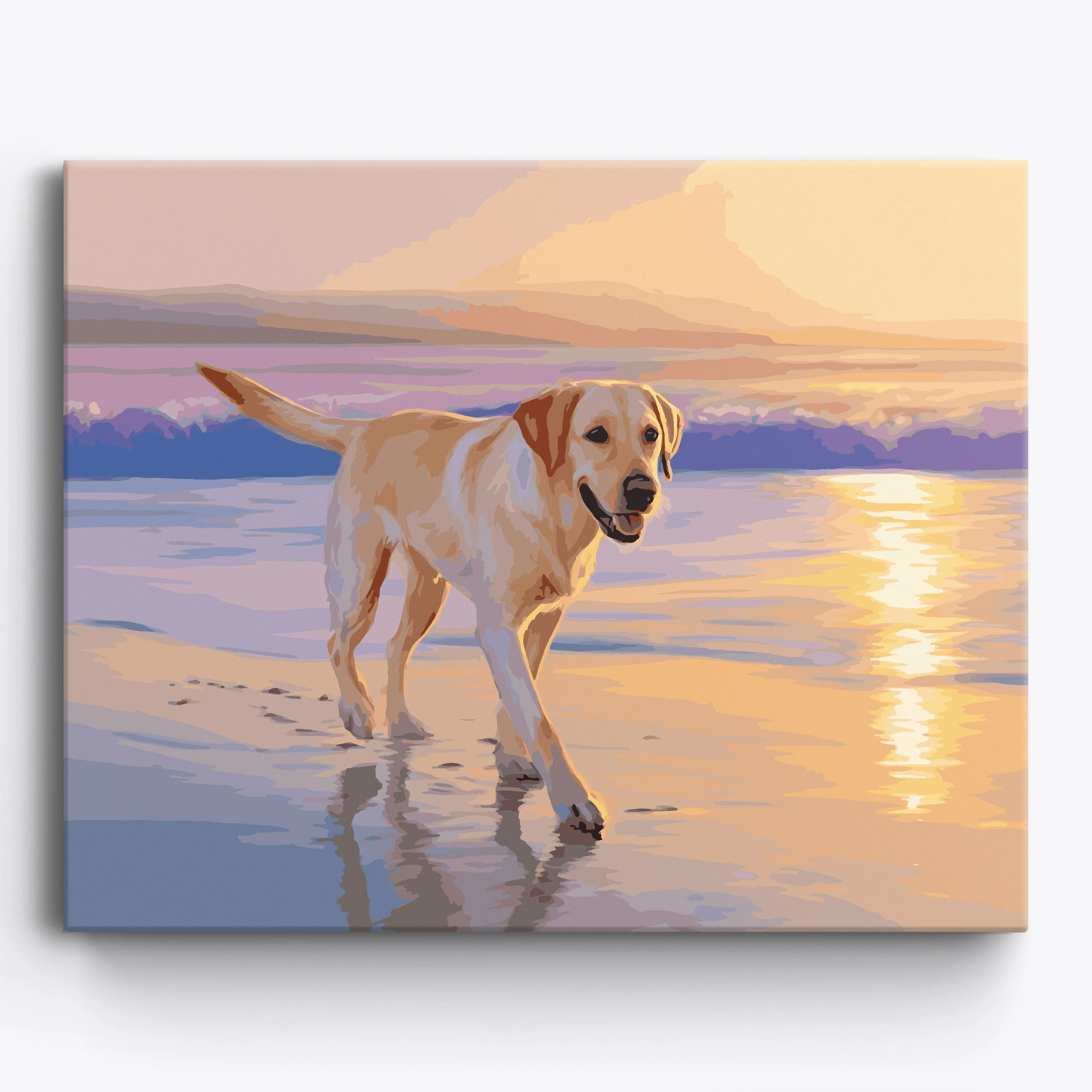 Labrador Beach Stroll - Image 2