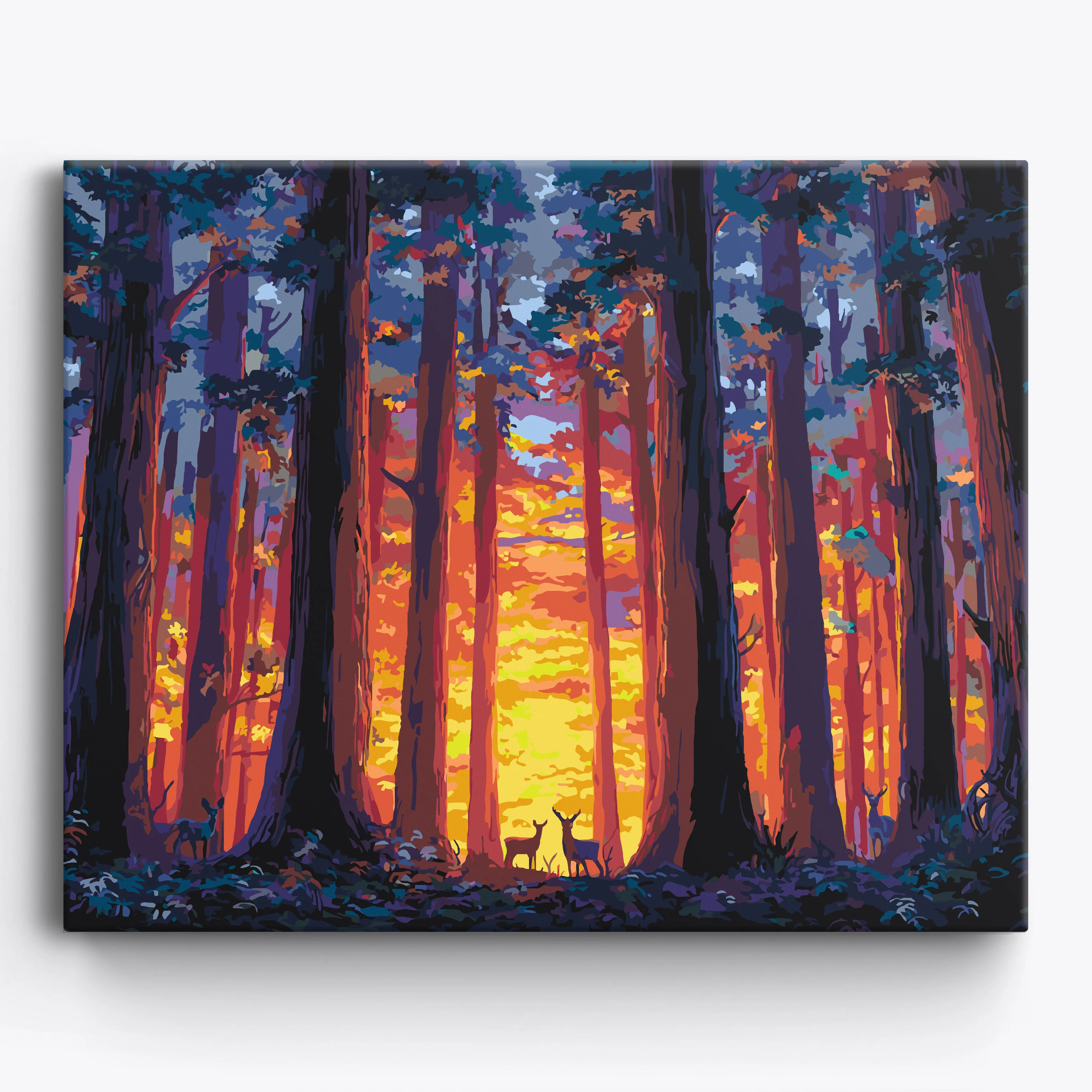 Twilight Redwoods
