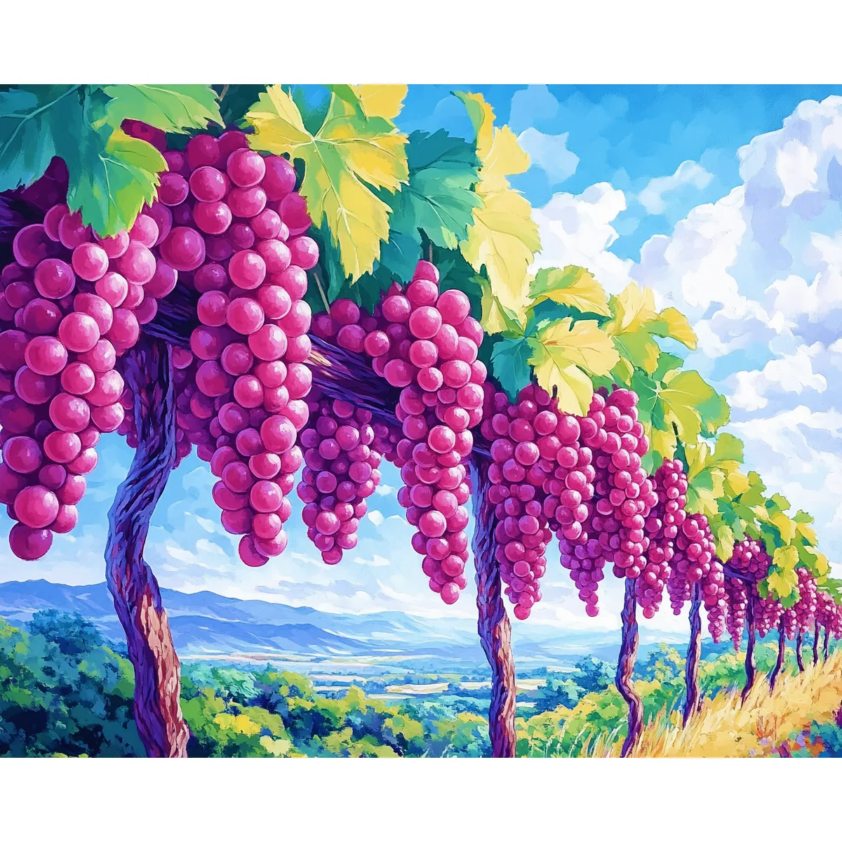 Vine Grapes - Image 2
