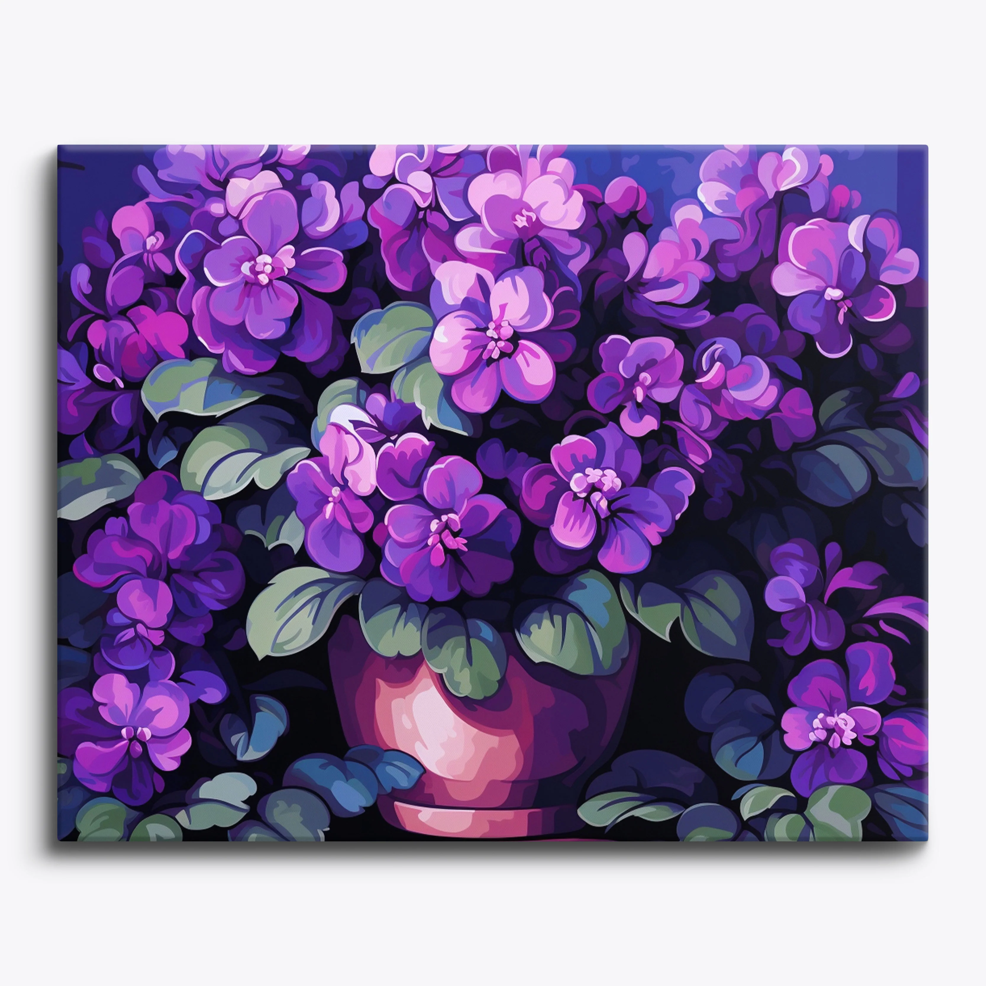Violet Haven