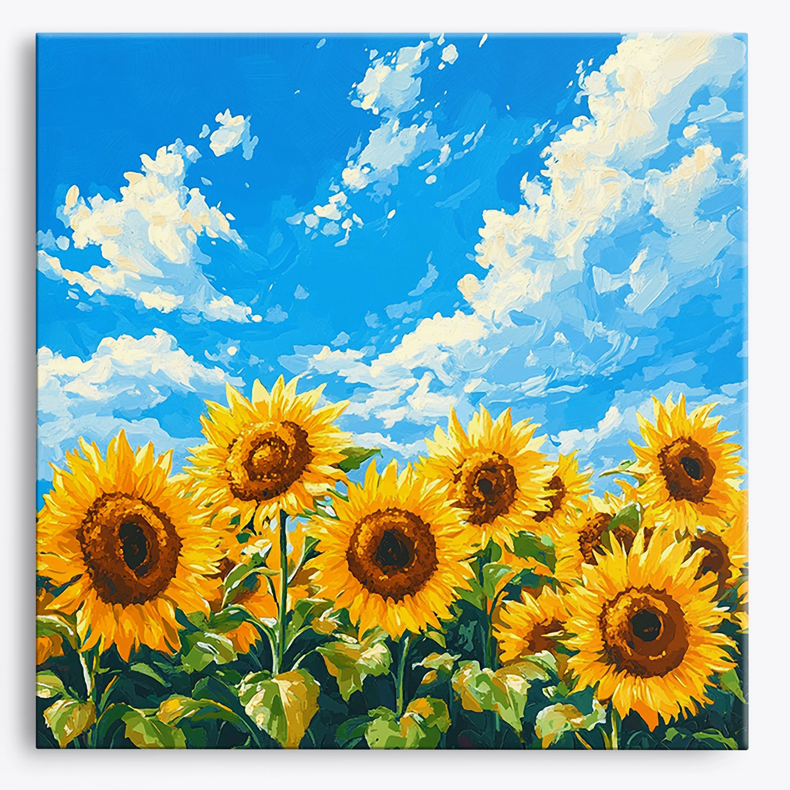 Vivid Fields