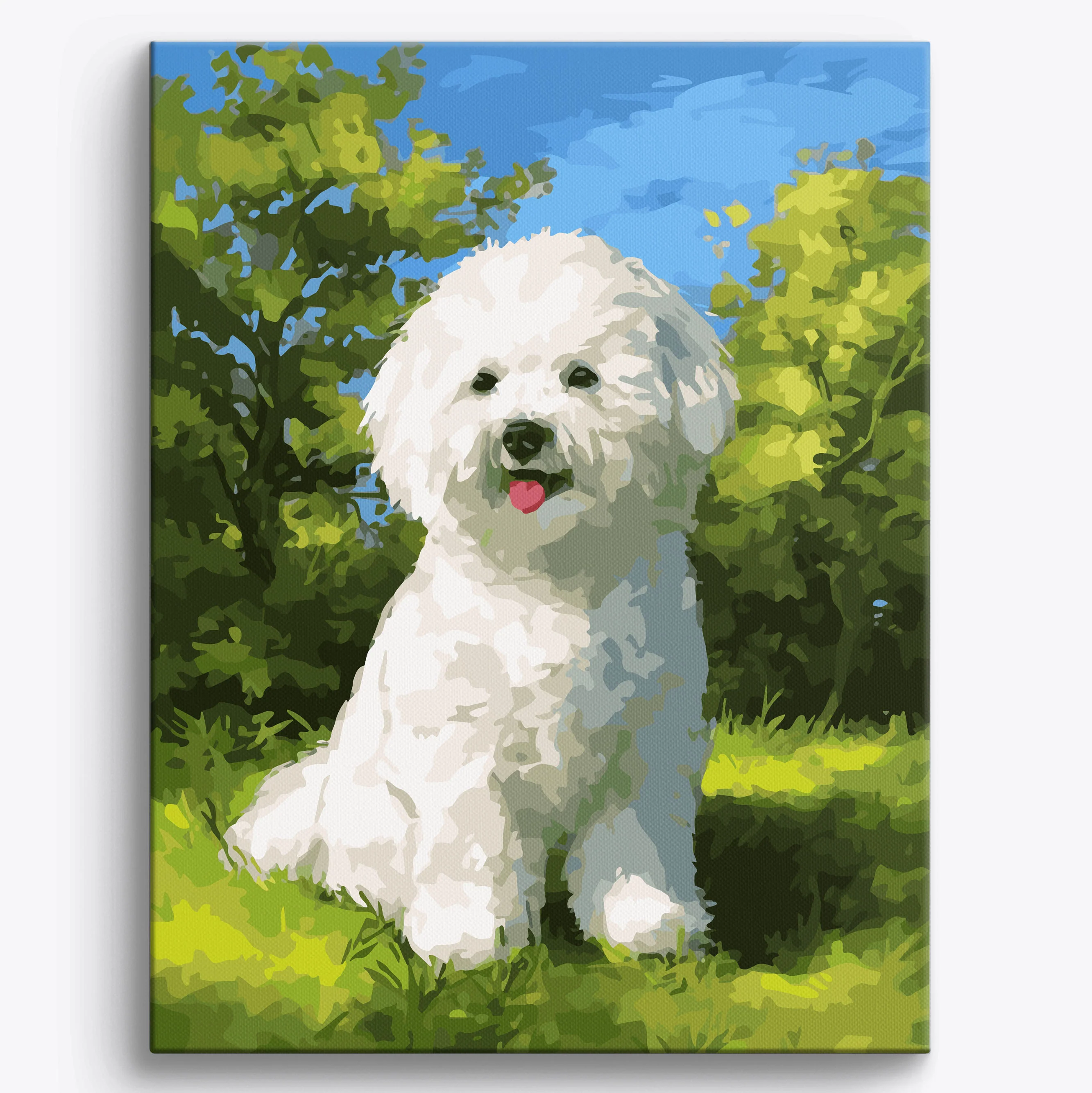 Smiling Bichon Frise