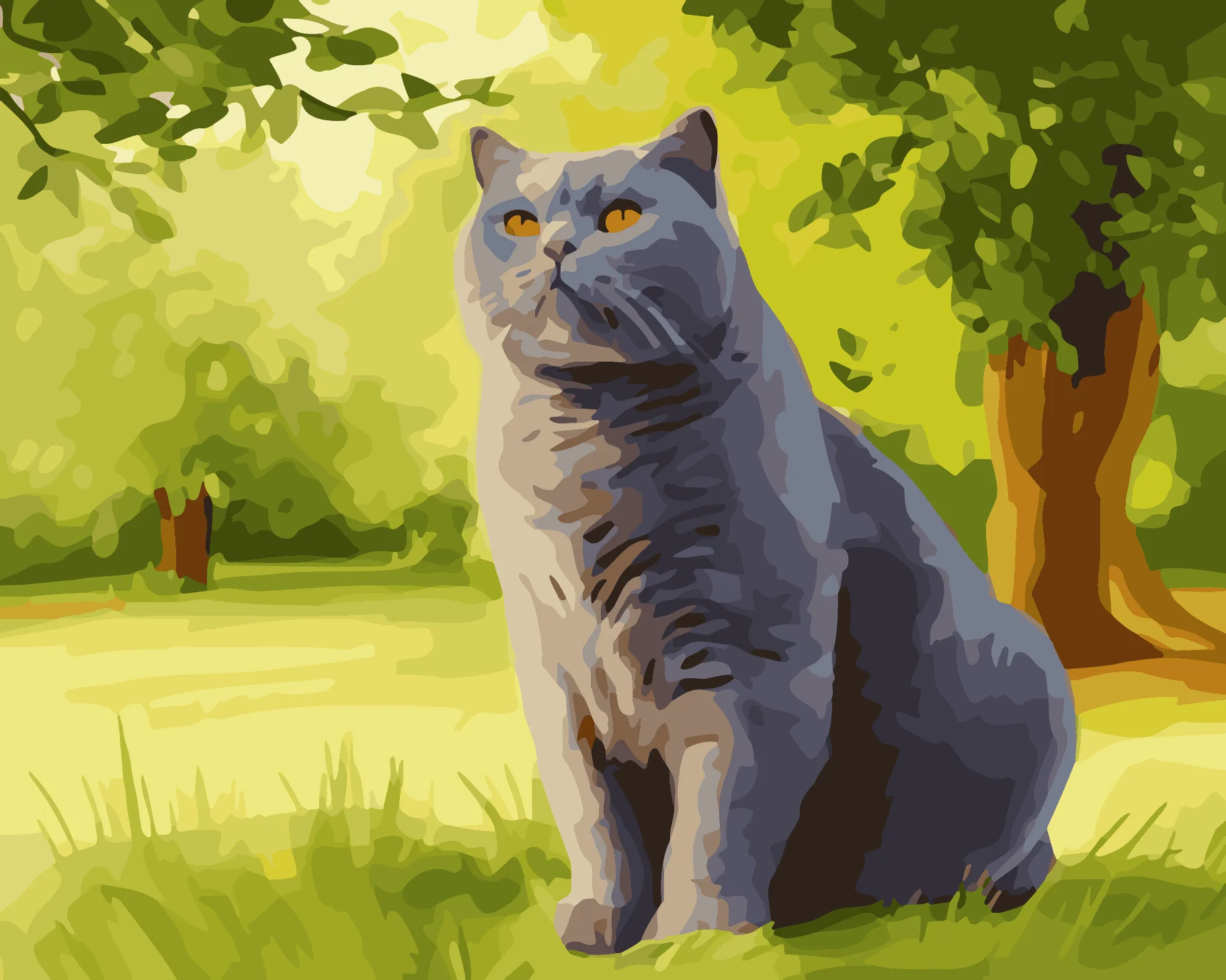 British Shorthair - Image 3
