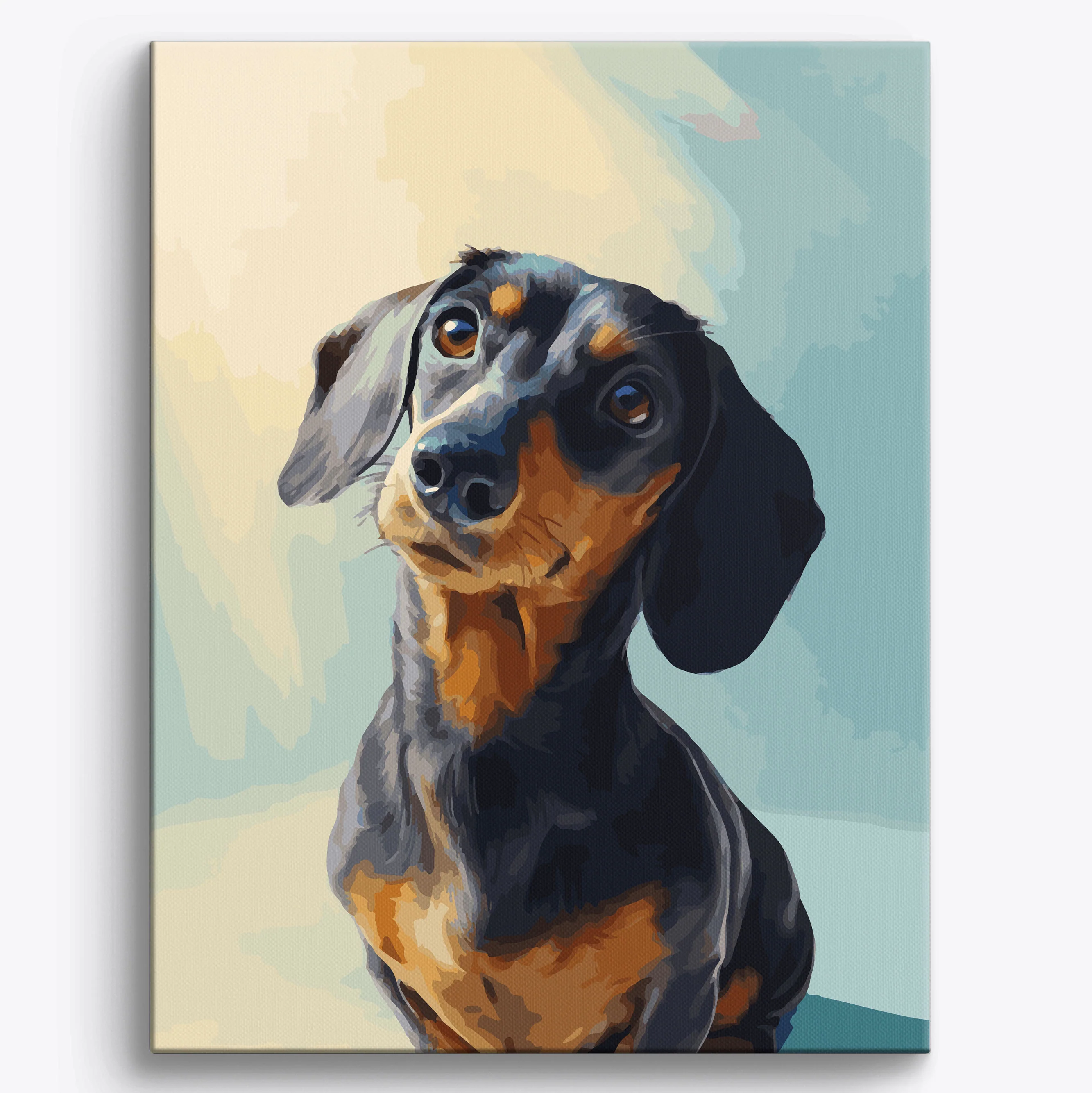 Dachshund Studio Portrait