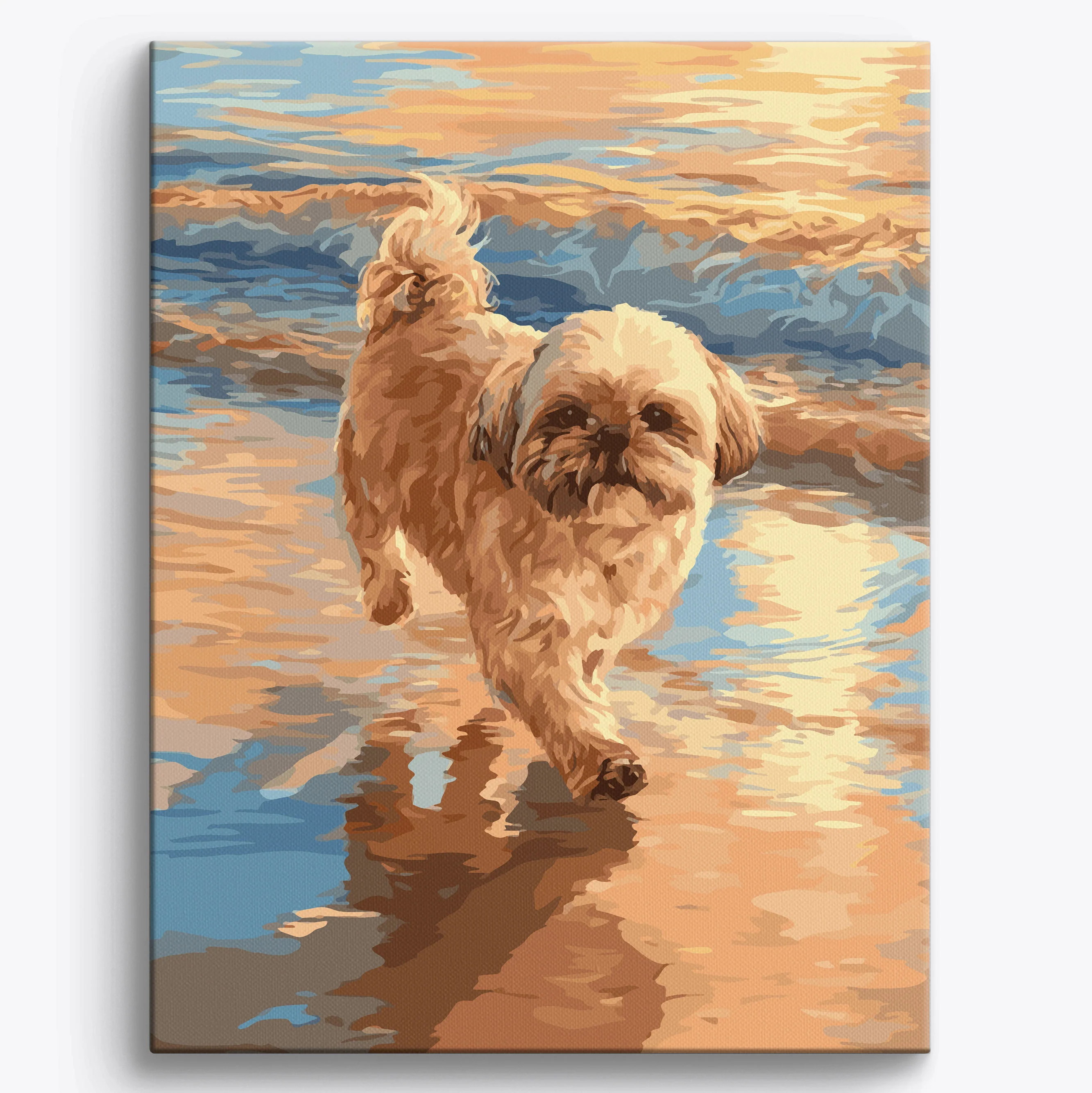 Wavy Lhasa Apso - Image 2
