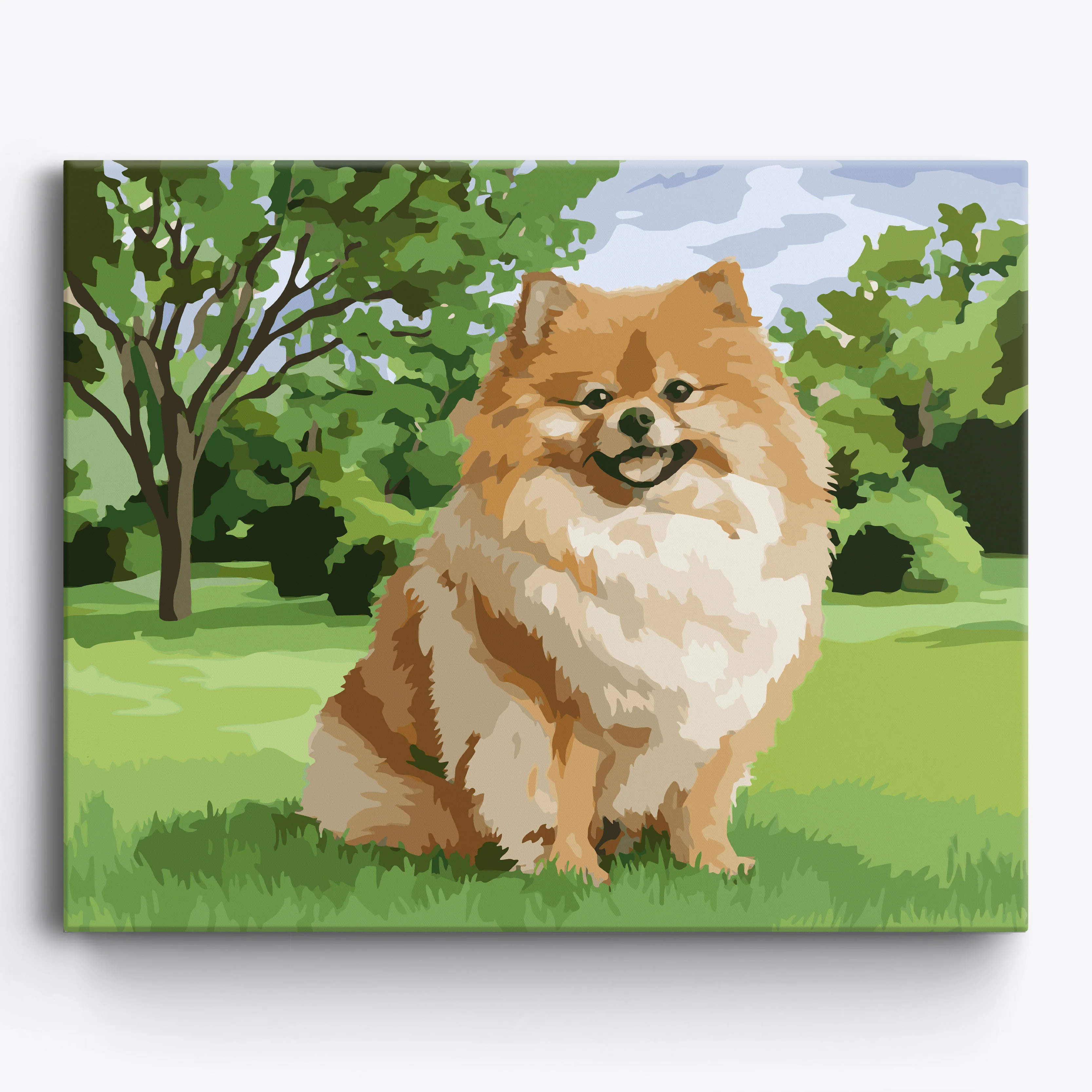 Fluffy Pomeranian