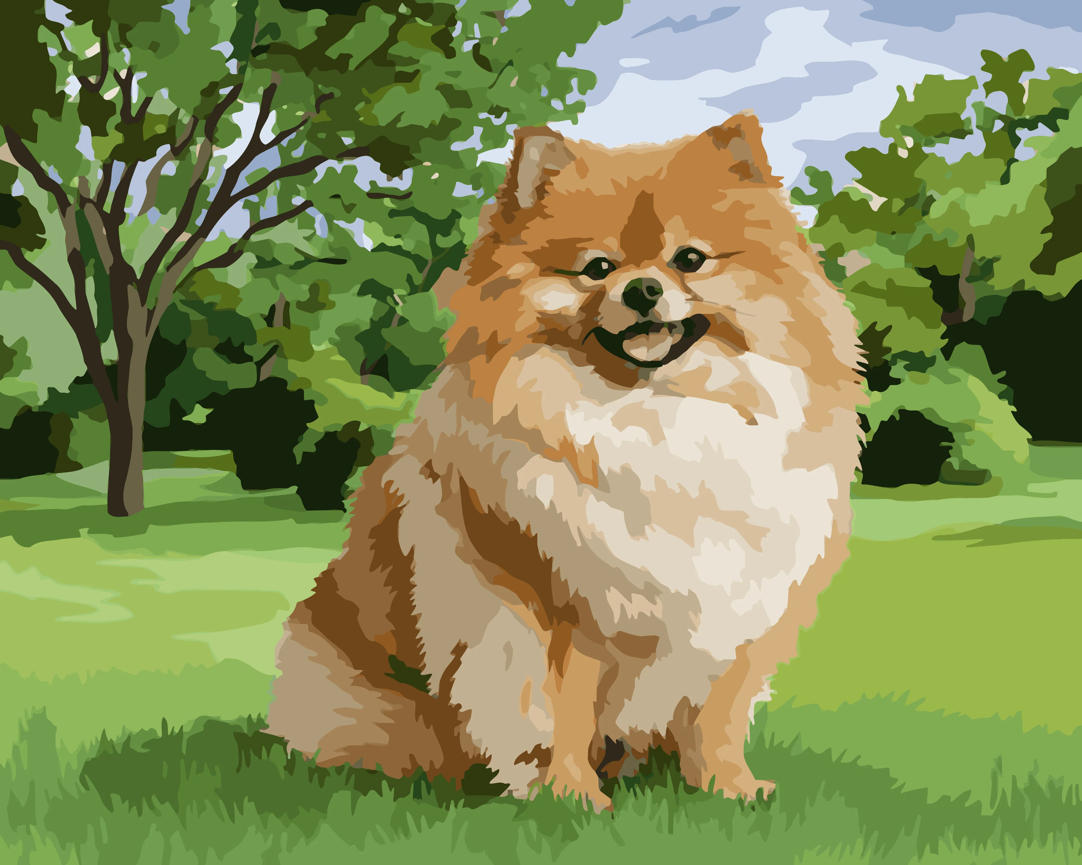 Fluffy Pomeranian - Image 3