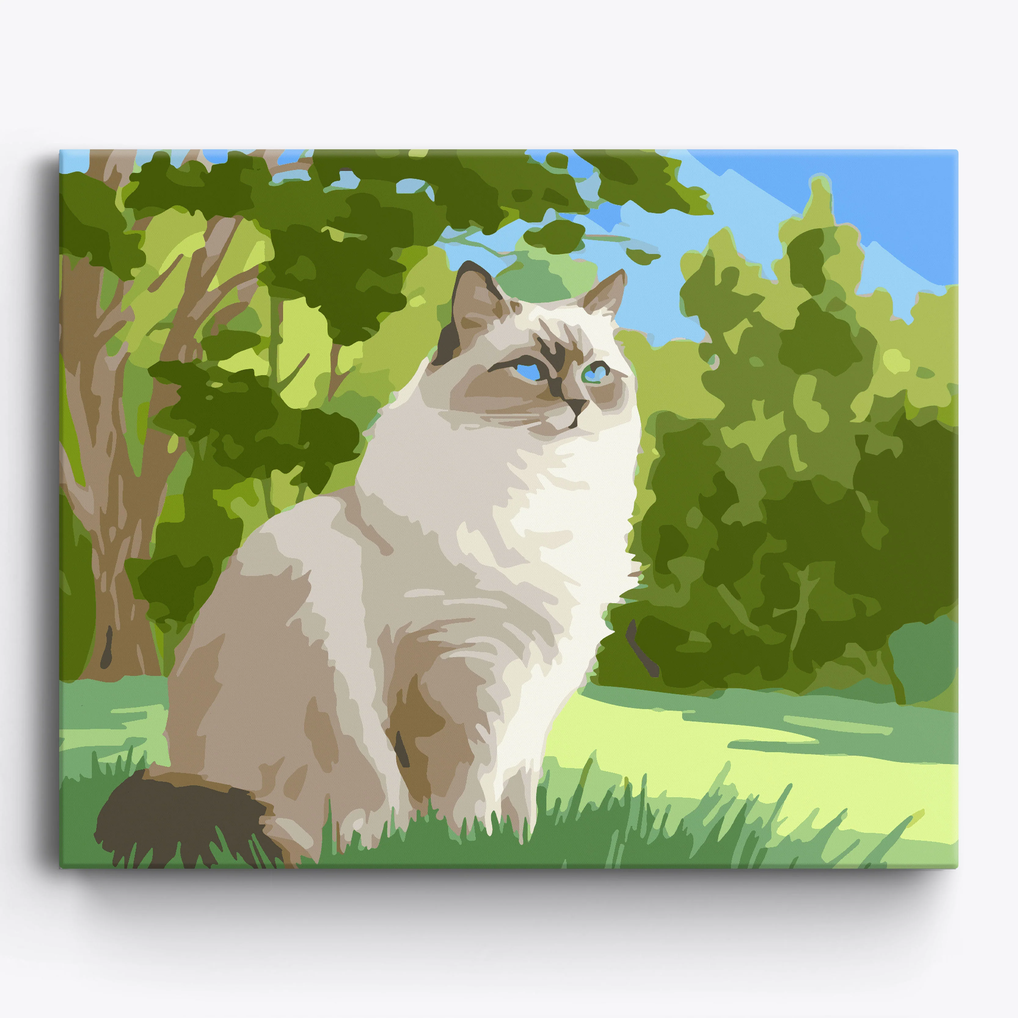 Ragdoll Prairie - Image 2