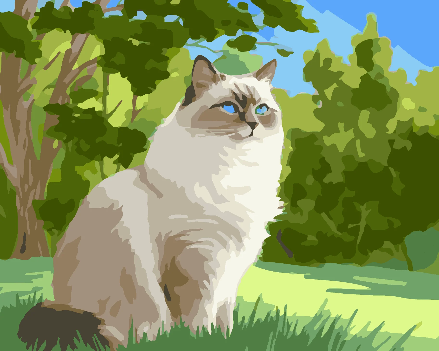 Ragdoll Prairie - Image 3
