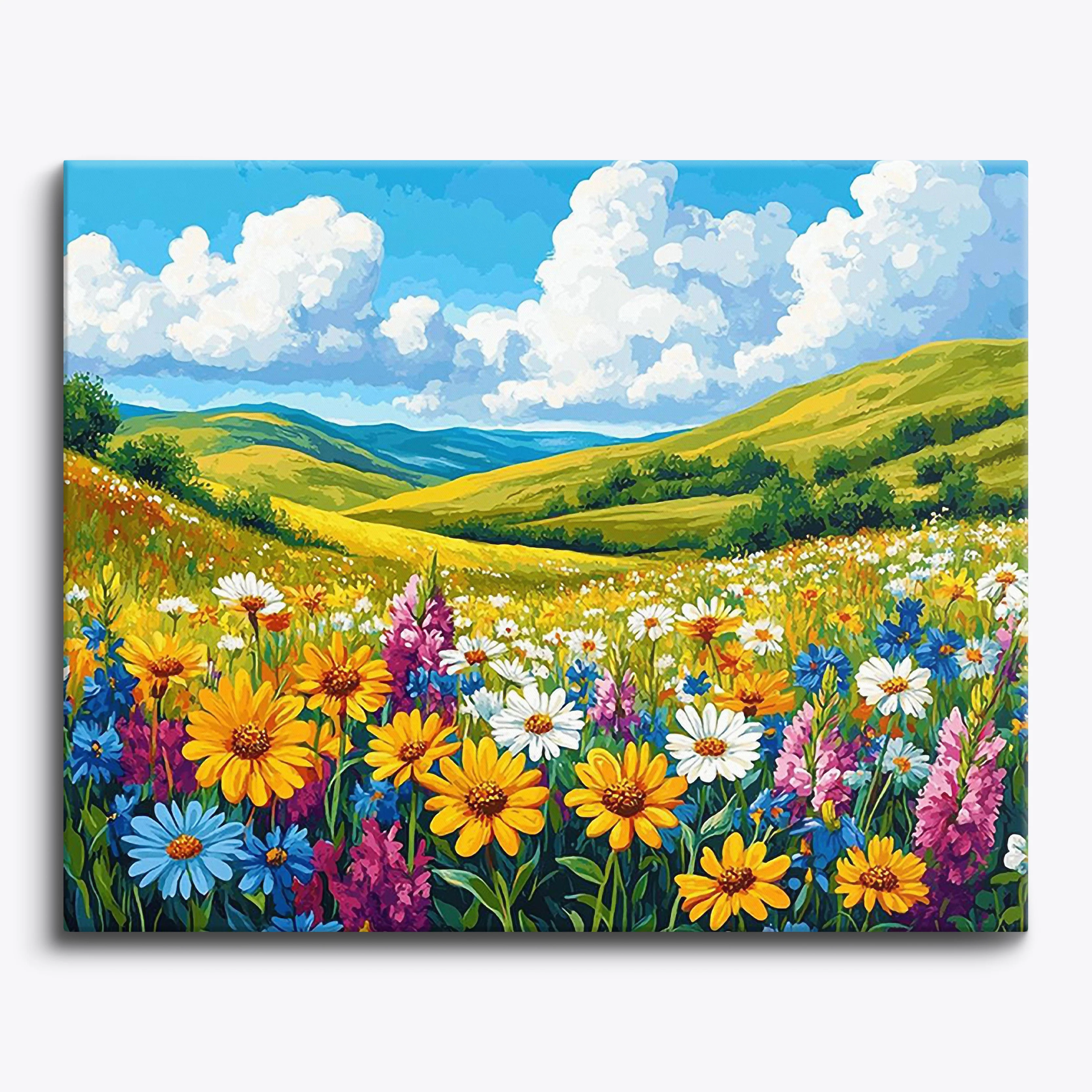Wildflower Meadow