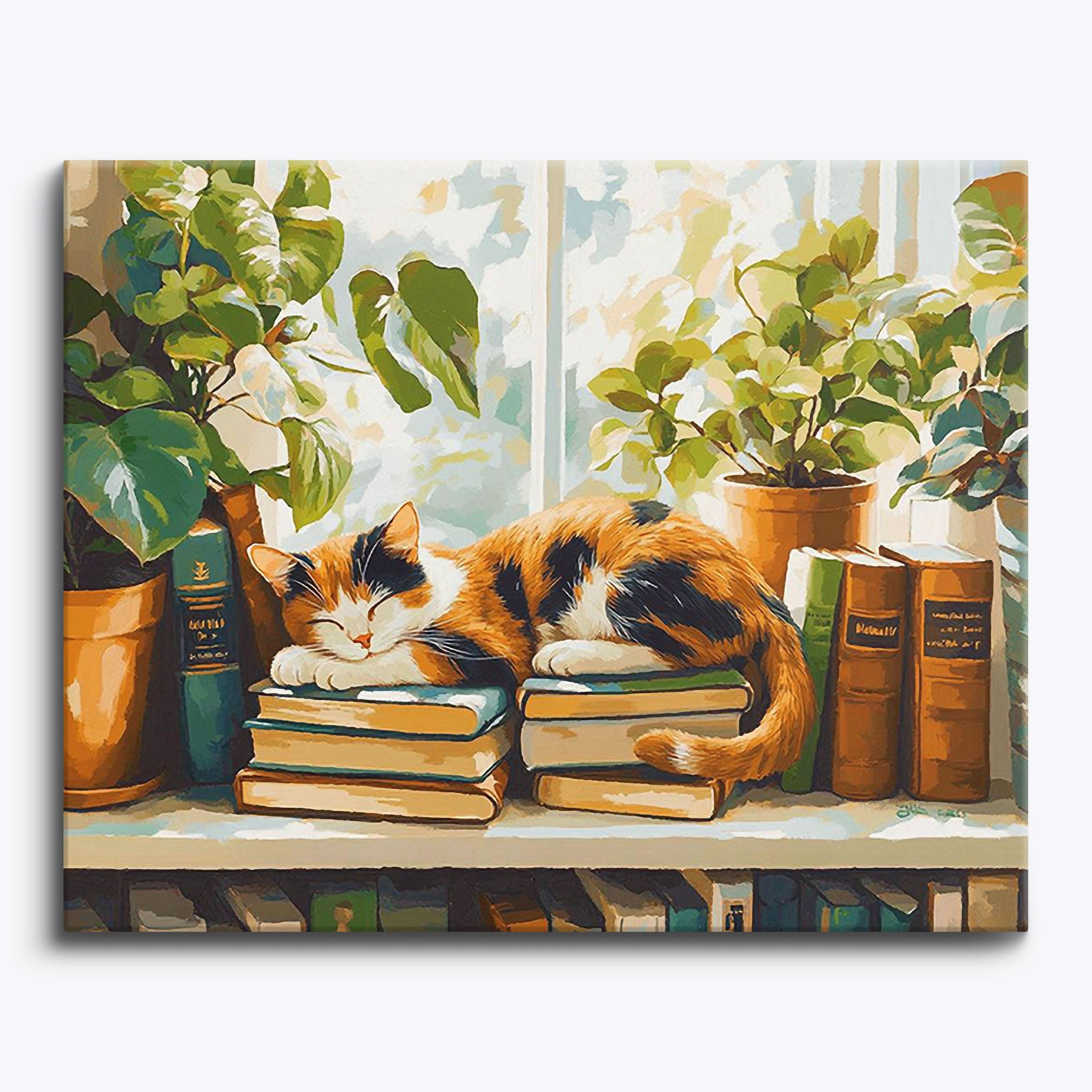 Window Whiskers
